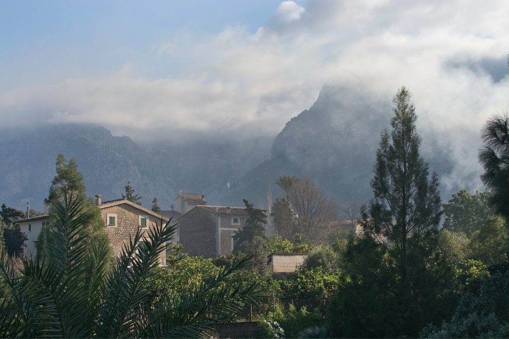 Winter landscape in Mallorca Winter landscape in Mallorca