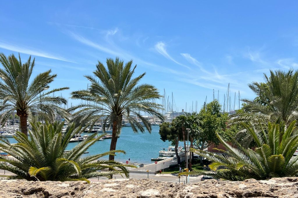 Scenic View of Mediterranean Marina in Palma Scenic View of Mediterranean Marina in Palma