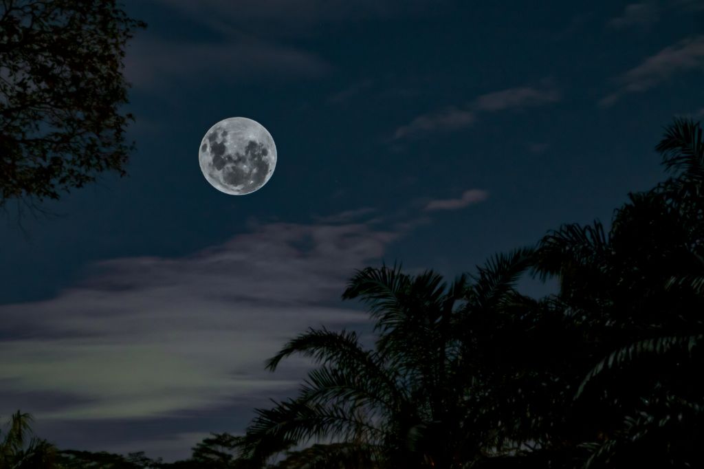 the moon at night
